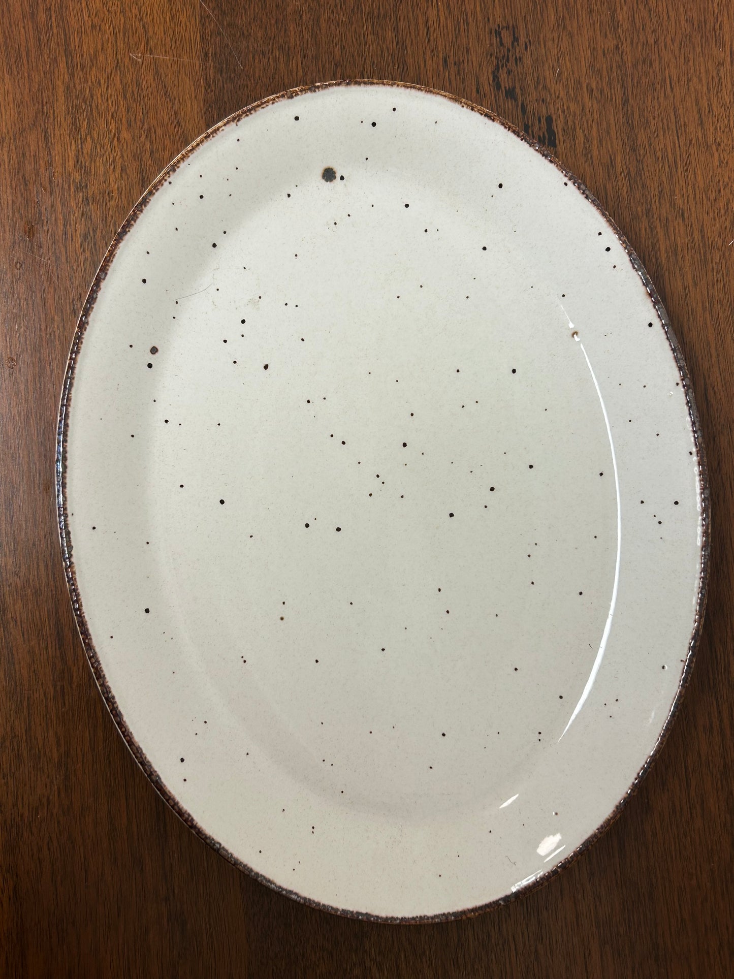 J&G Meakin LifeStyle Speckled Plate