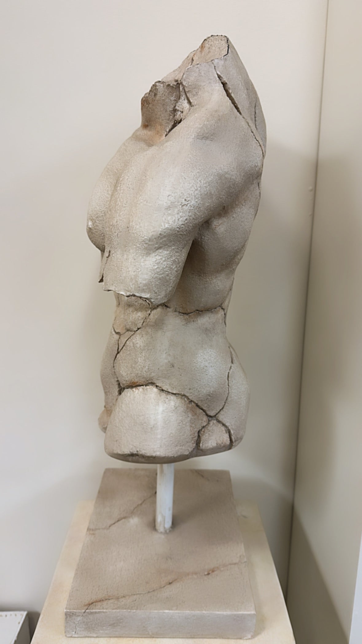 Fibreglass Male Bust