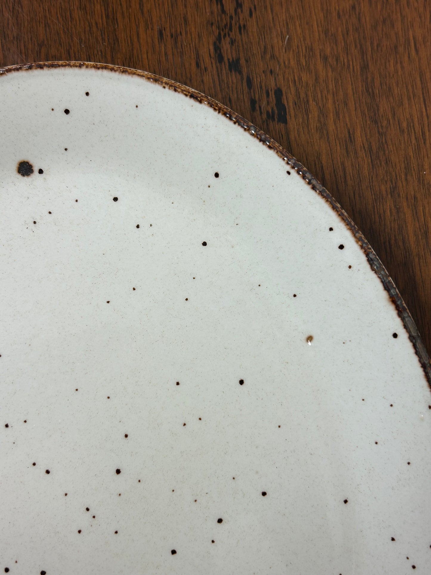 J&G Meakin LifeStyle Speckled Plate