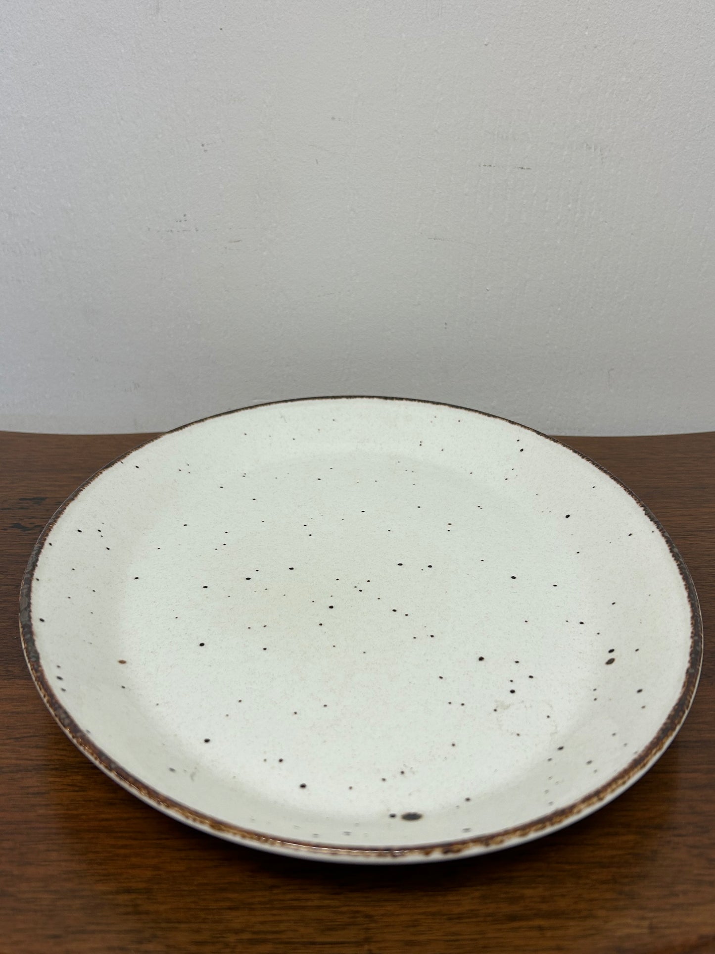 J&G Meakin LifeStyle Speckled Plate