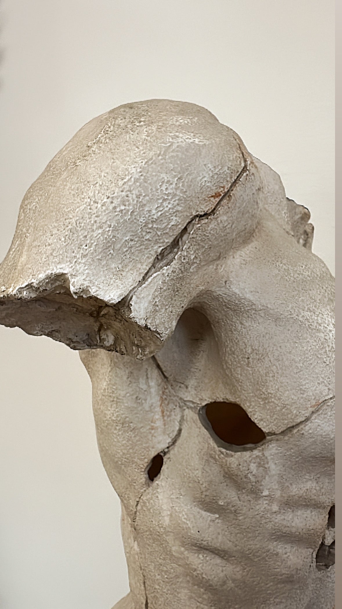 Fibreglass Male Bust