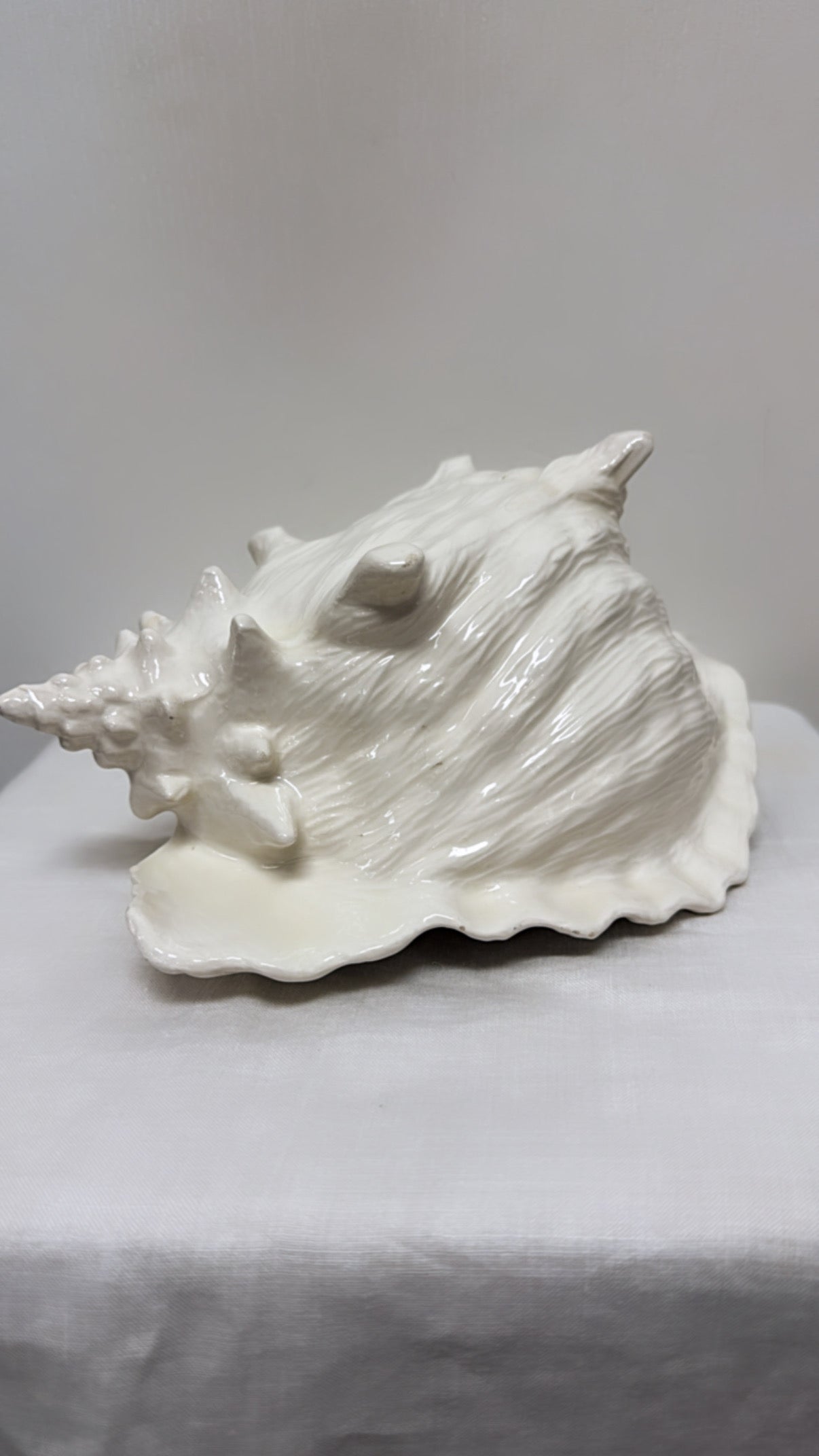 MCM Conch Planter