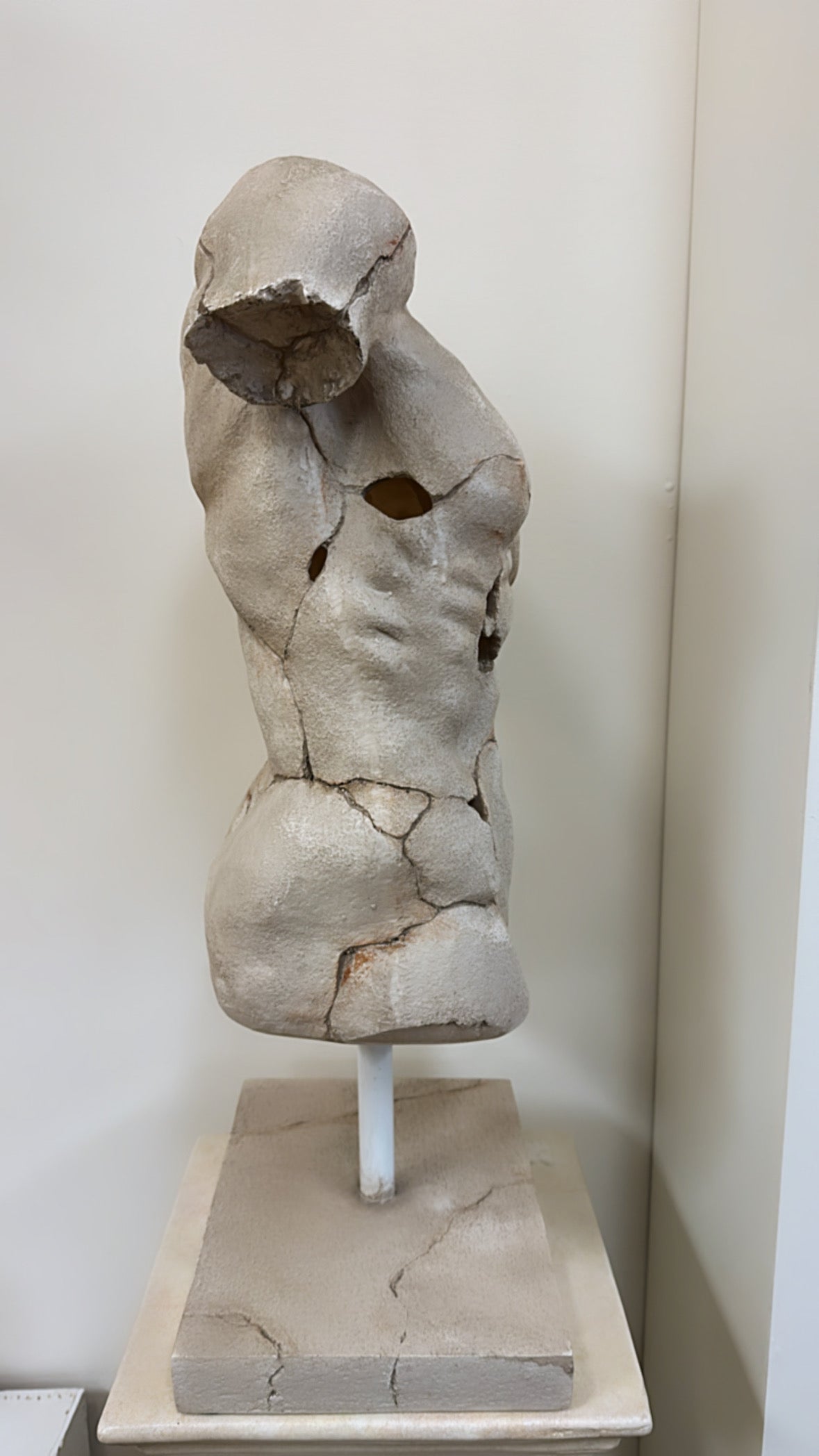Fibreglass Male Bust