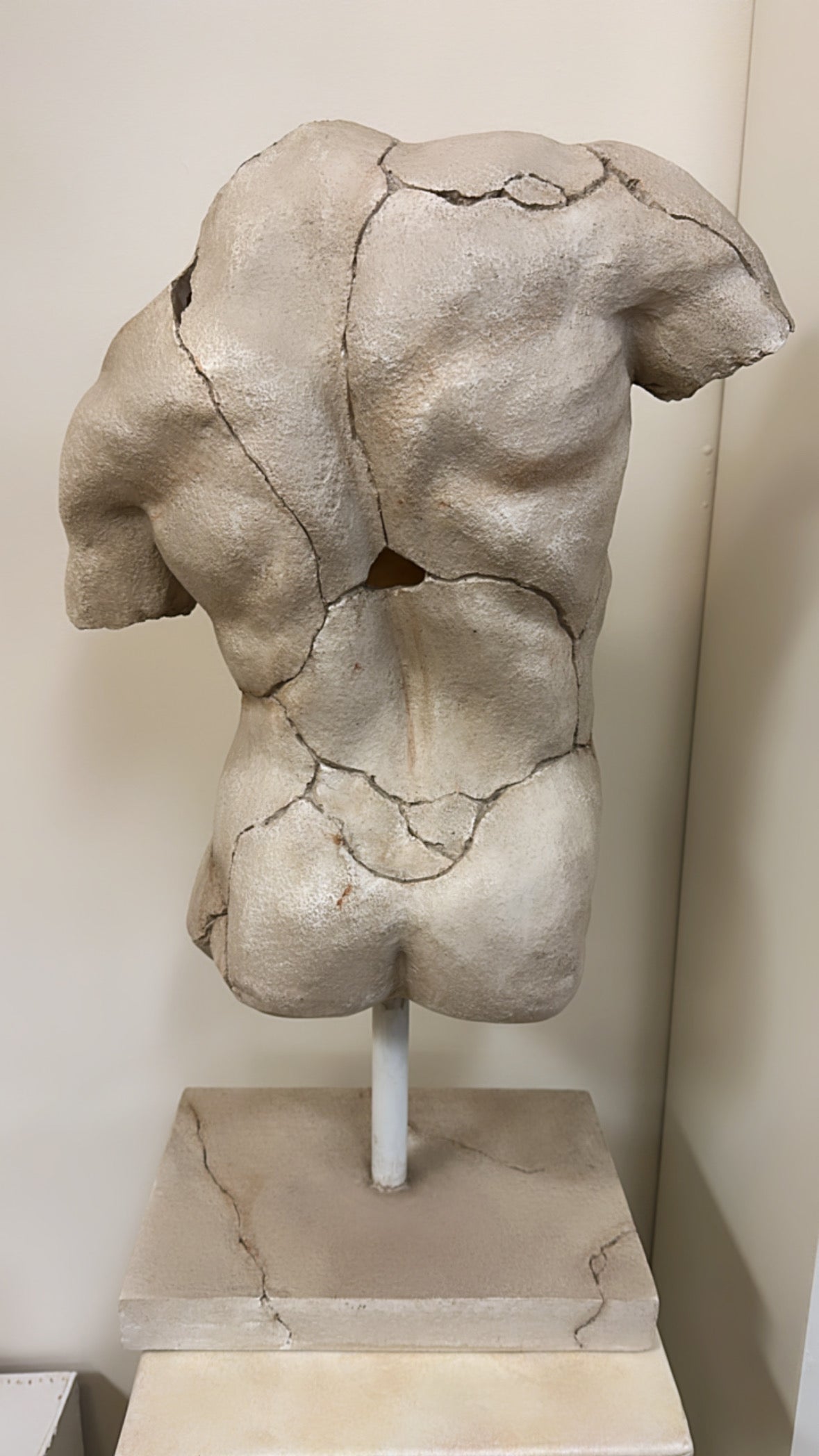 Fibreglass Male Bust