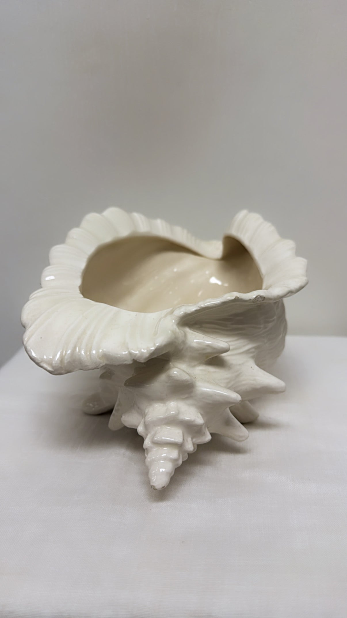 MCM Conch Planter