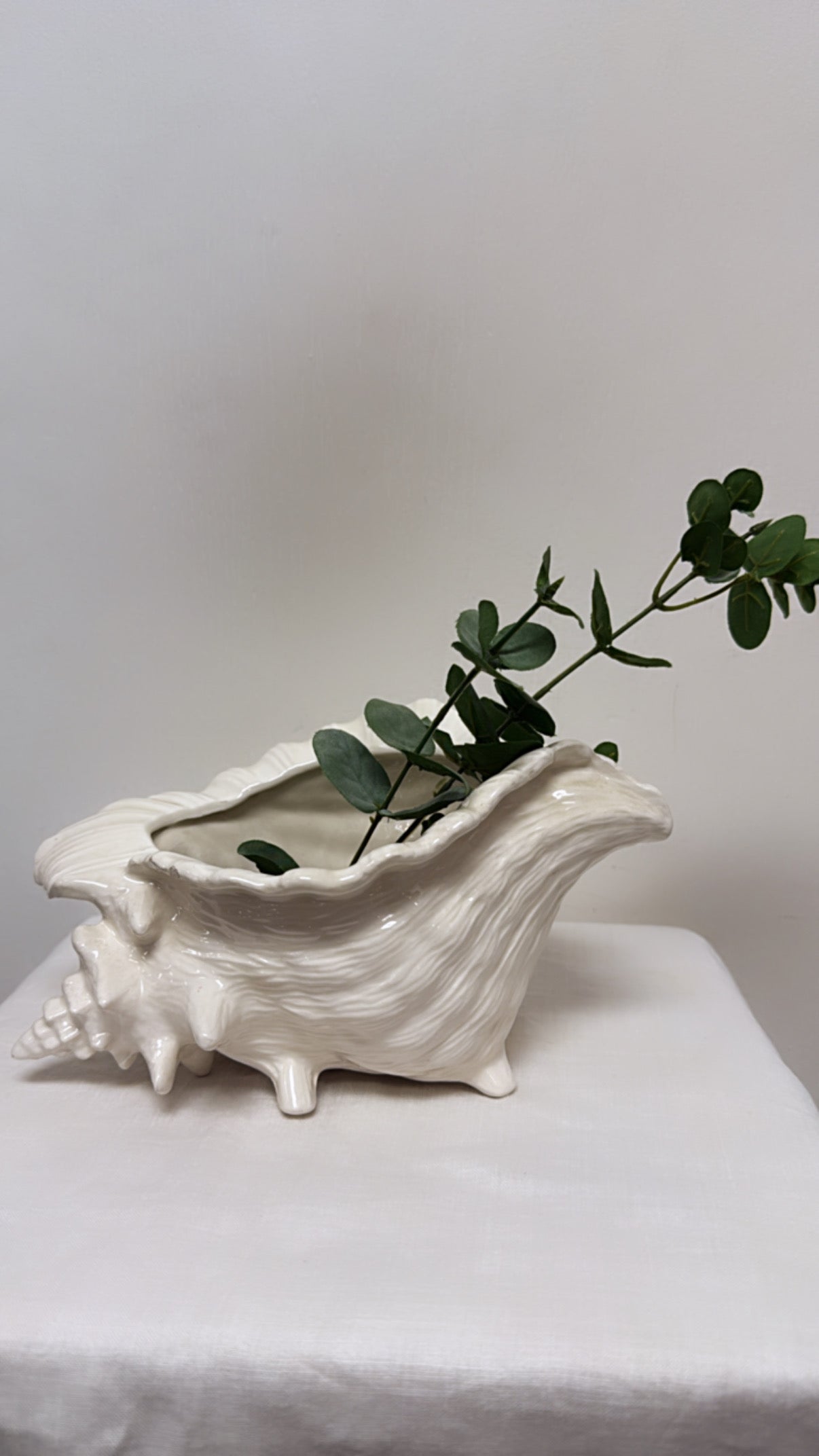 MCM Conch Planter