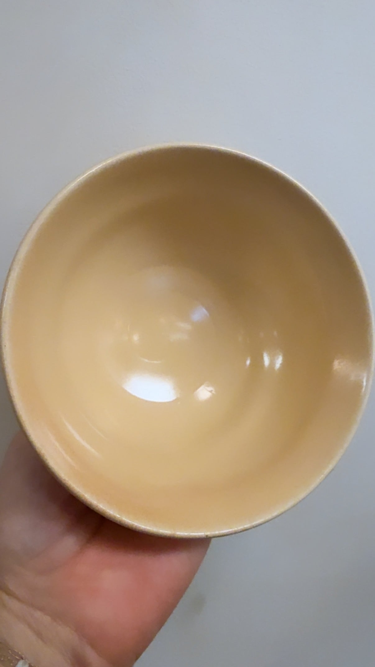 Wabi-Sabi Rice Bowl
