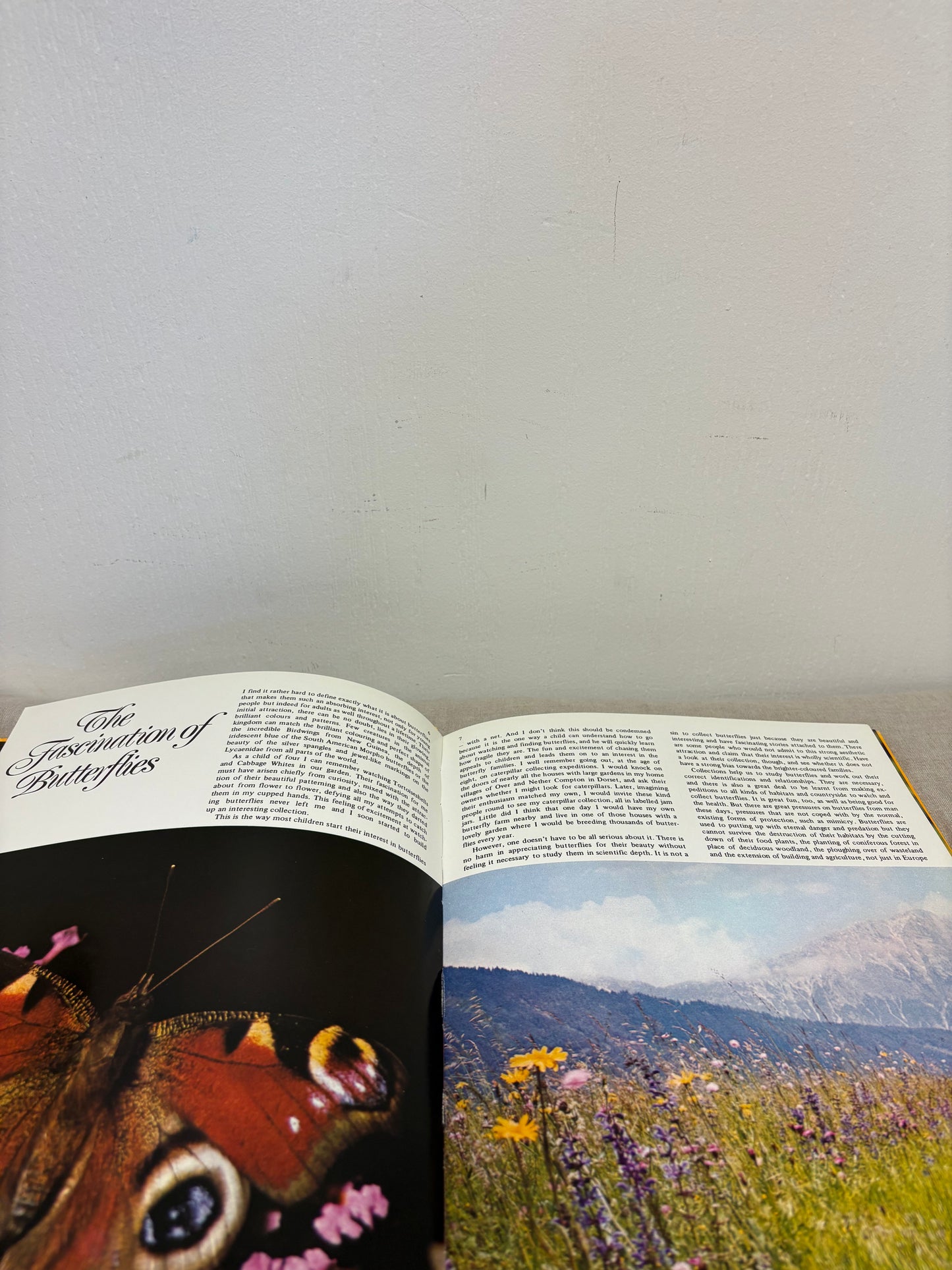 ‘All colour book of BUTTERFLIES’ book
