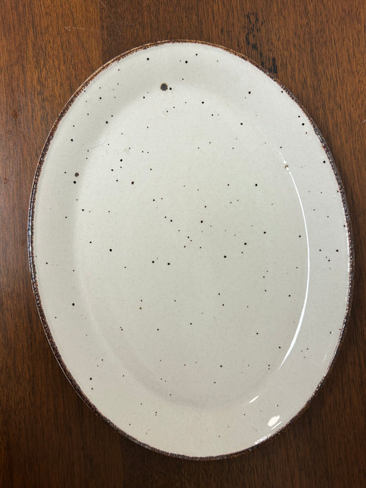 J&G Meakin LifeStyle Speckled Plate