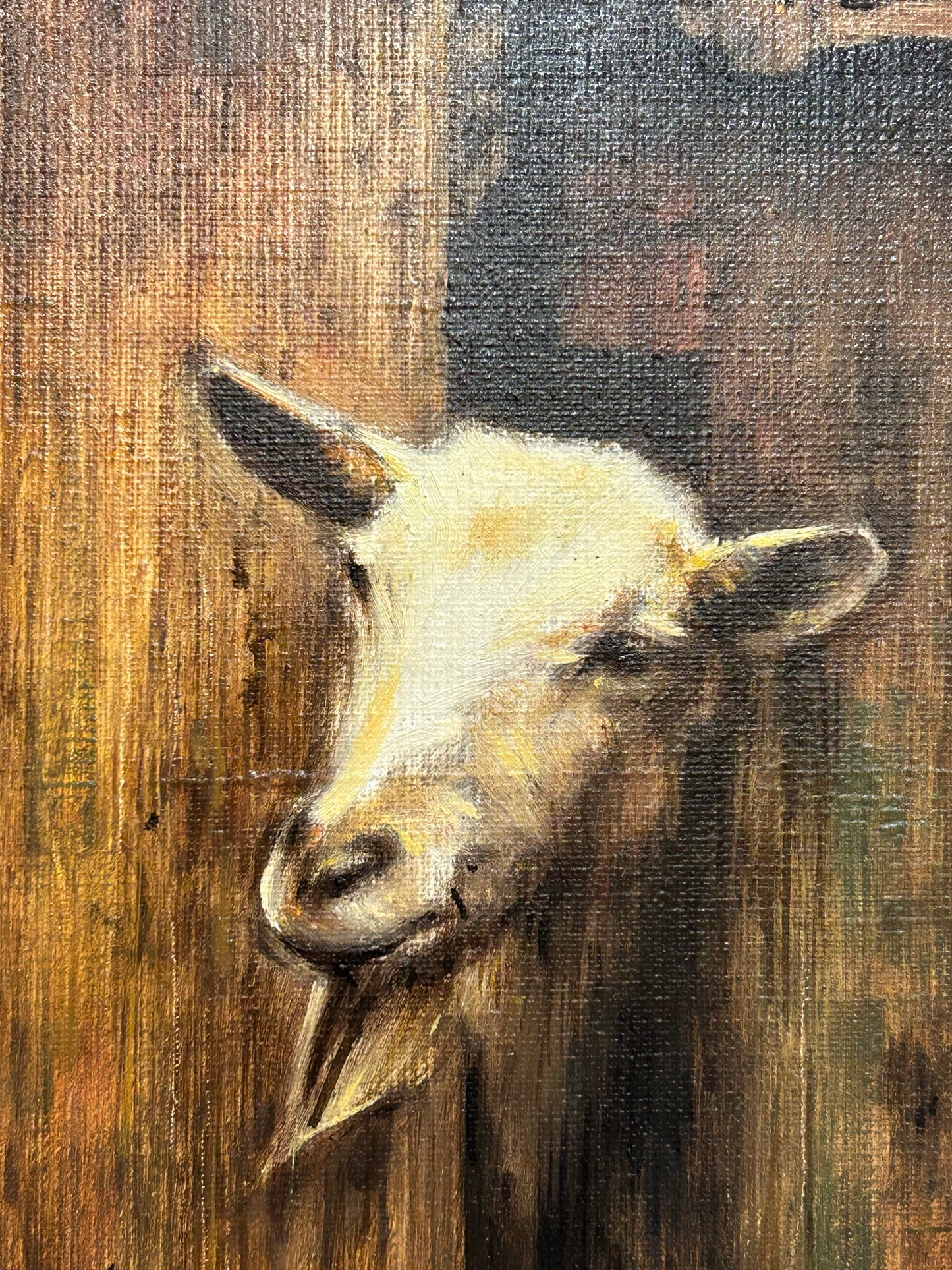 Original Goat Oil Painting On Canvas