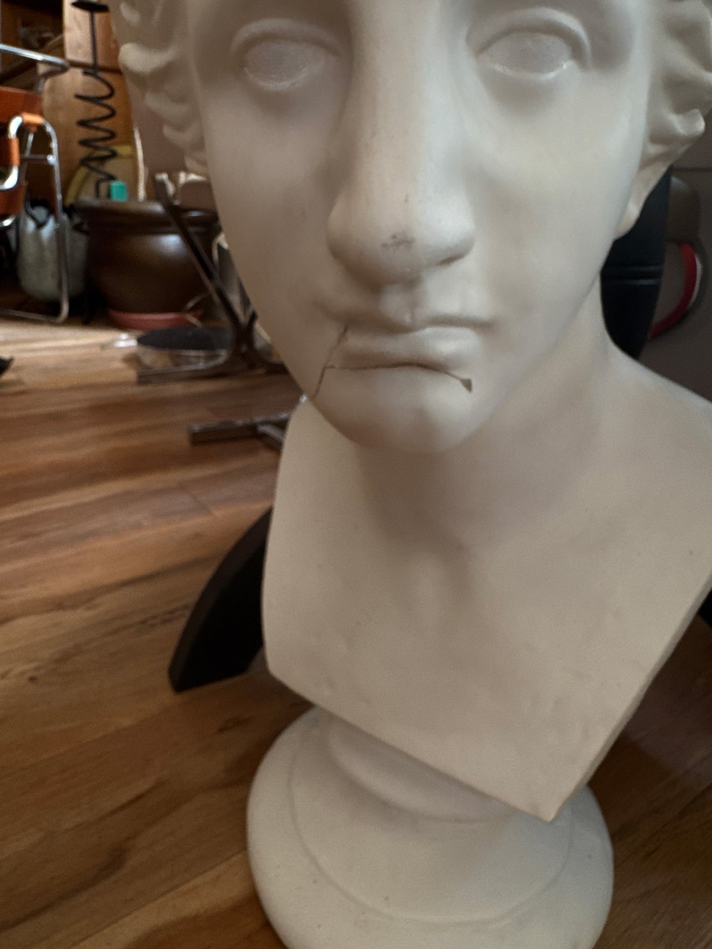 Large Vintage Bust