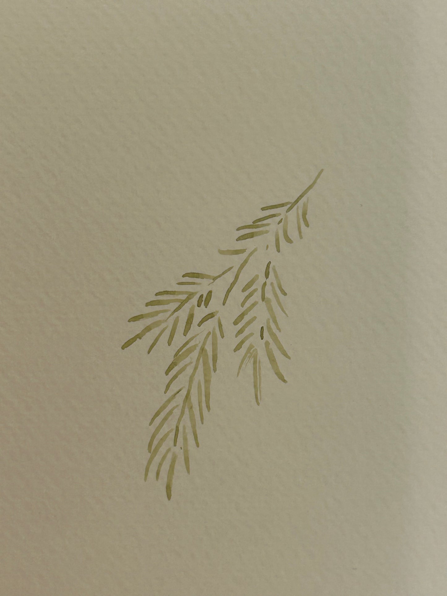 Christmas Card With Pine Branch