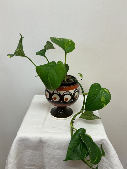 SMF Schramberg Pedestal Plant Pot