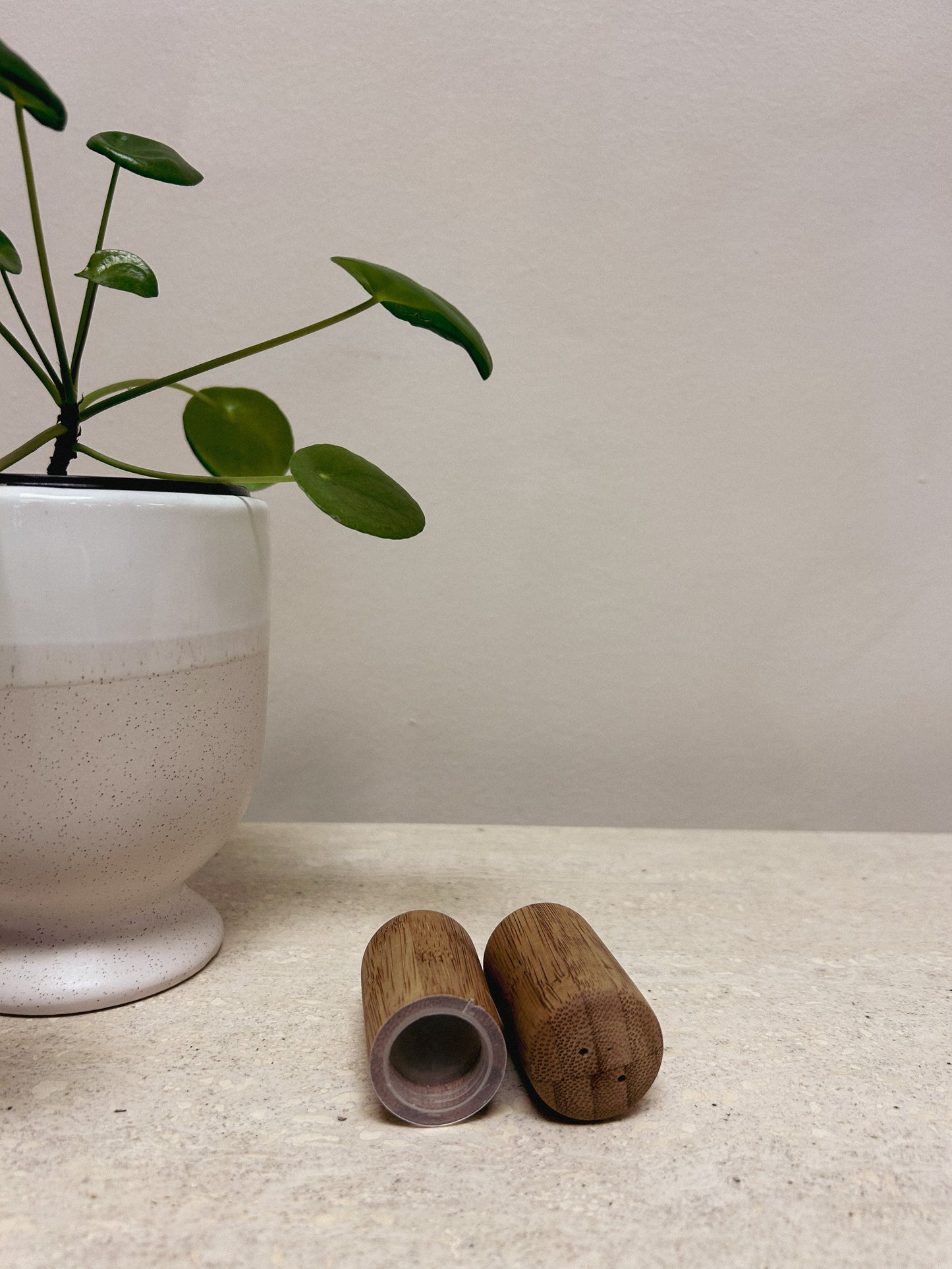 Small Wooden Salt & Pepper Shakers