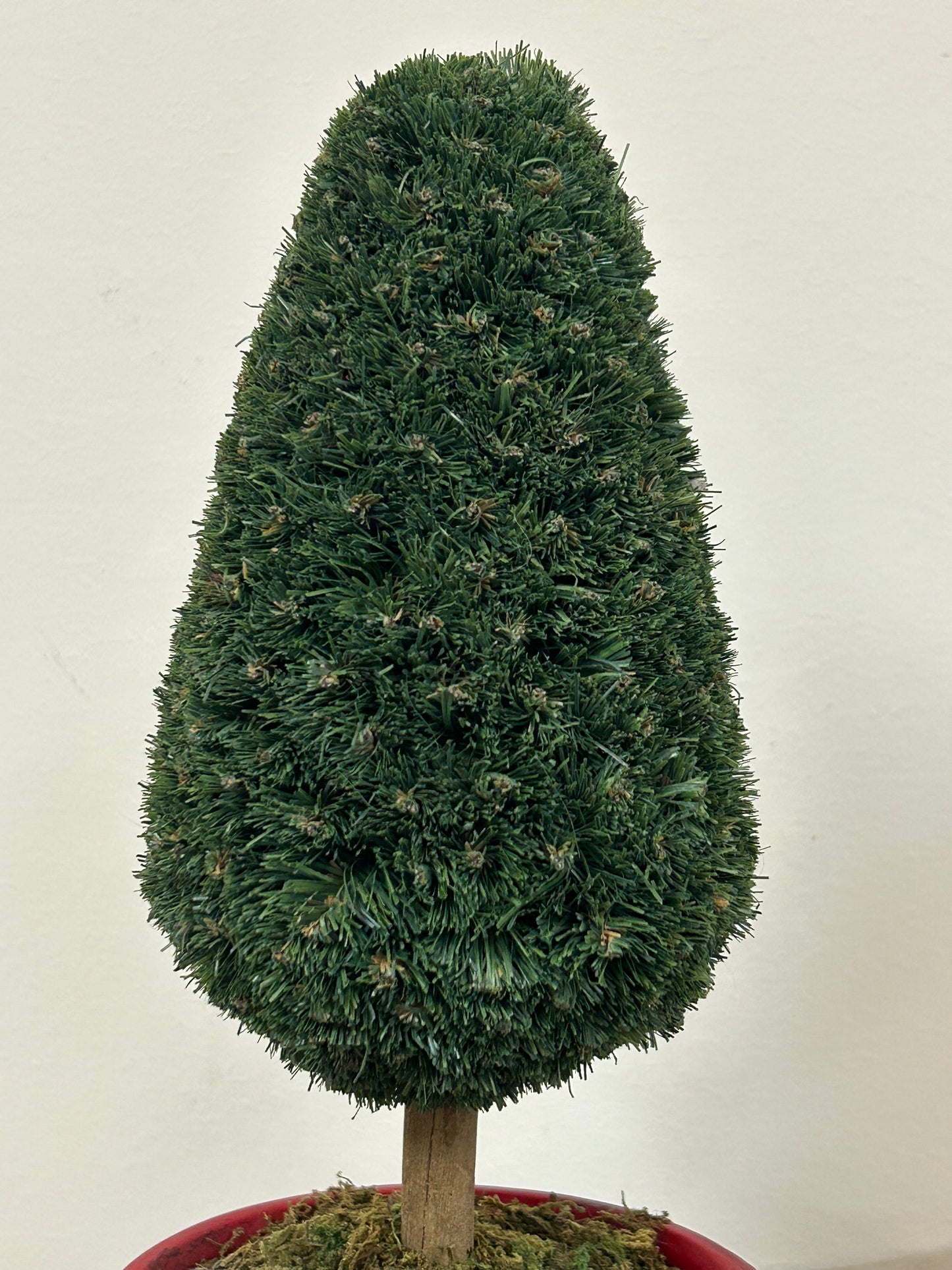 Topiary Style Christmas Tree