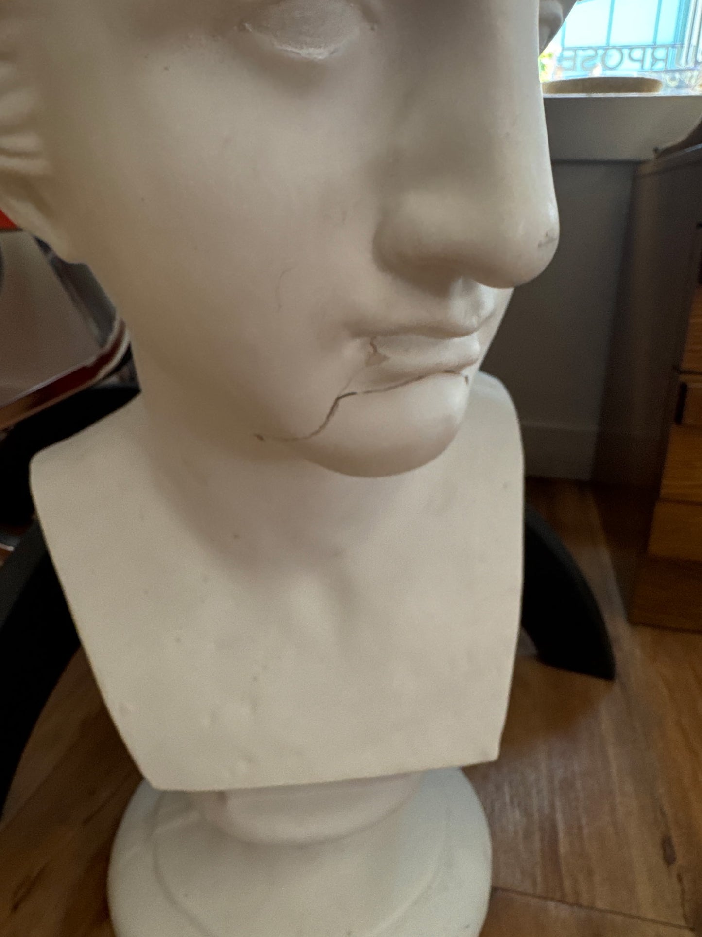 Large Vintage Bust