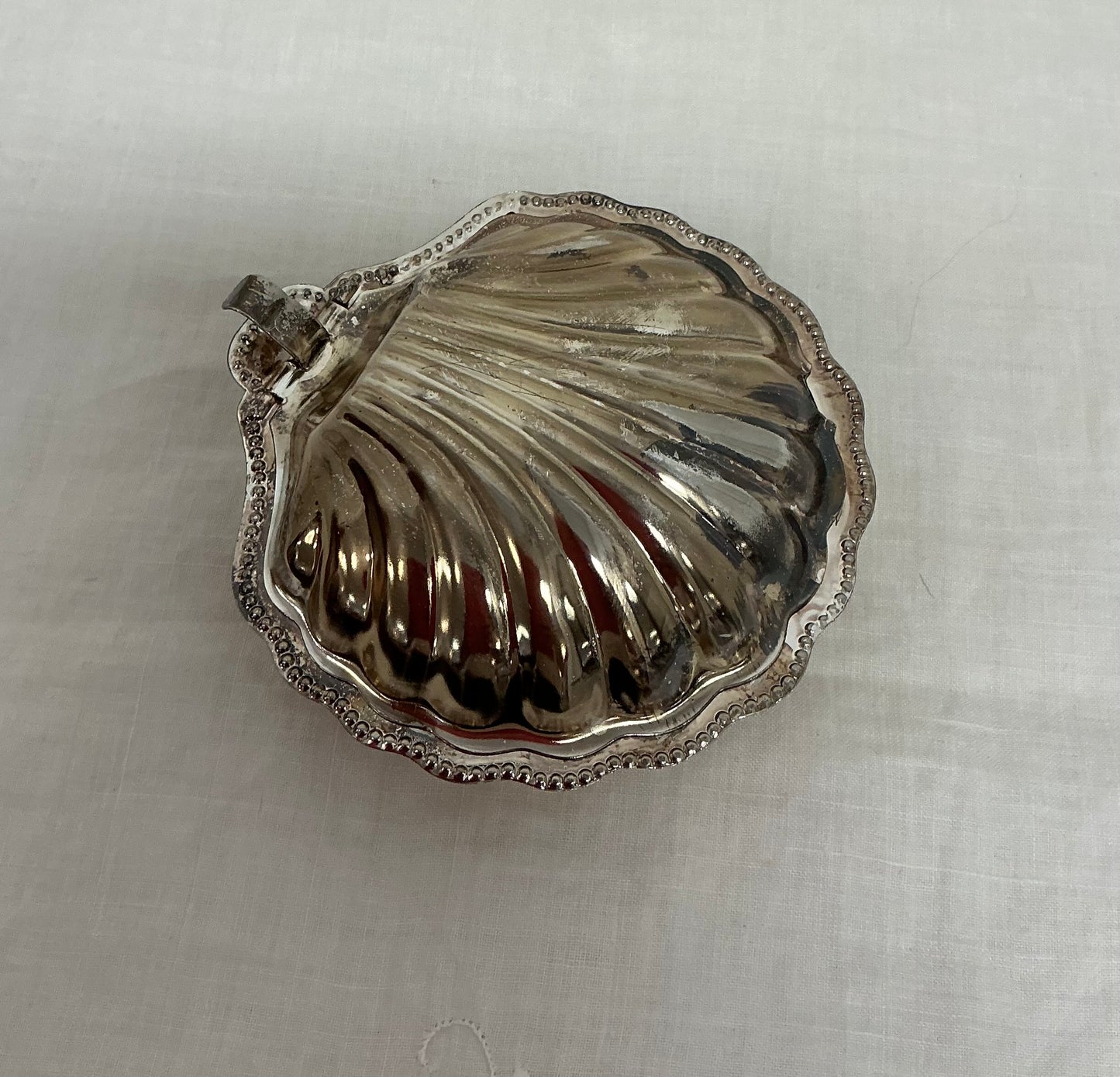 Shell dish chrome
