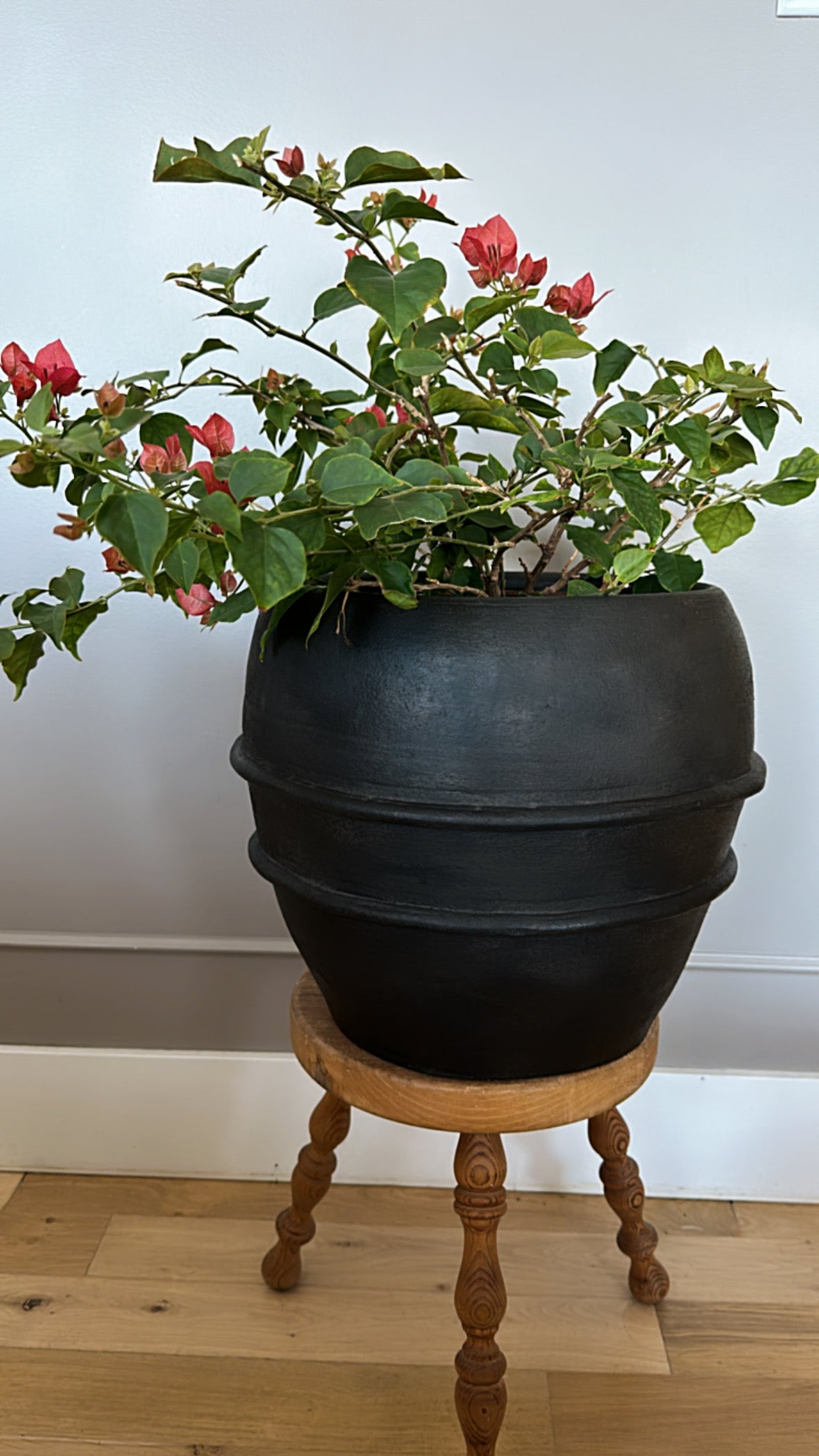 Vintage Terracotta Pot