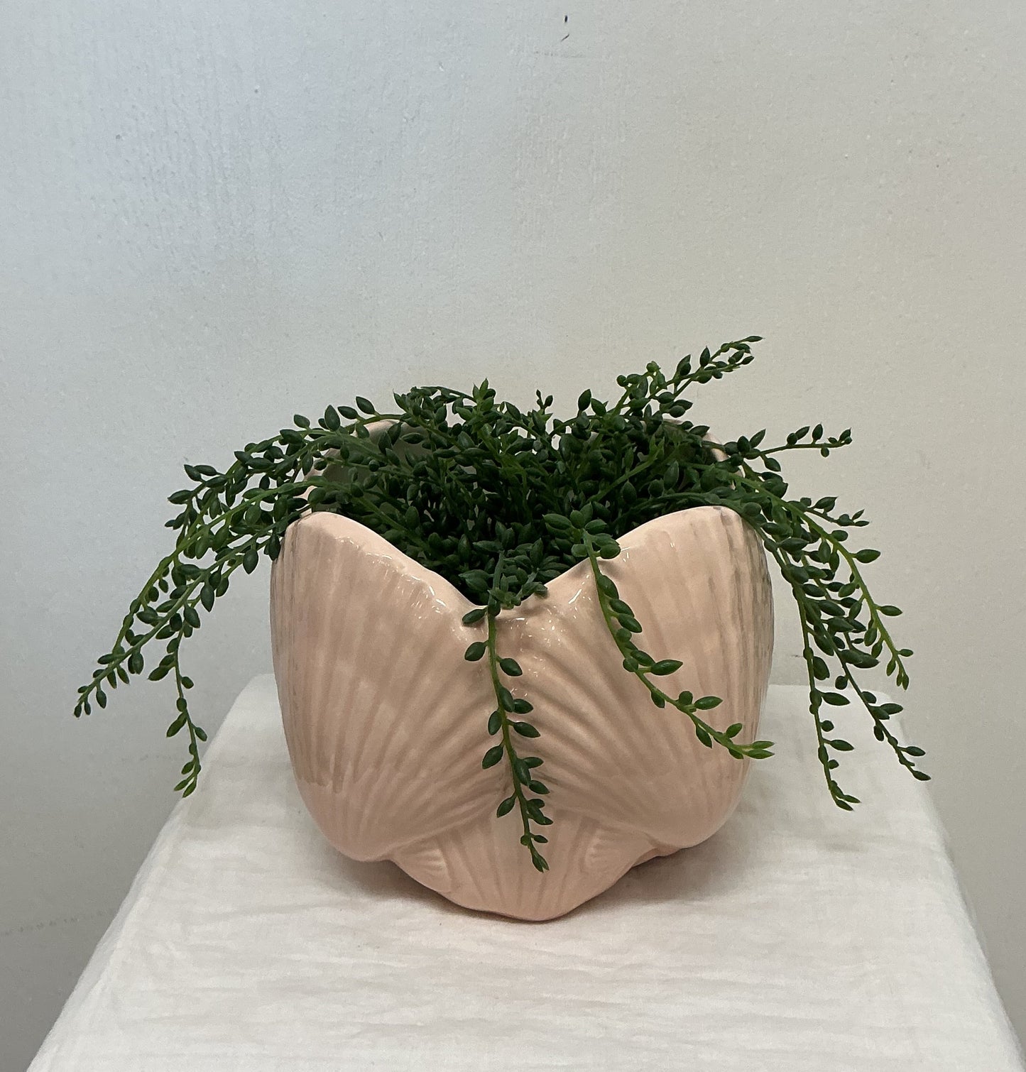 1978 Clamshell Planter