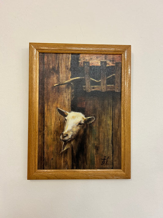 Original Goat Oil Painting On Canvas