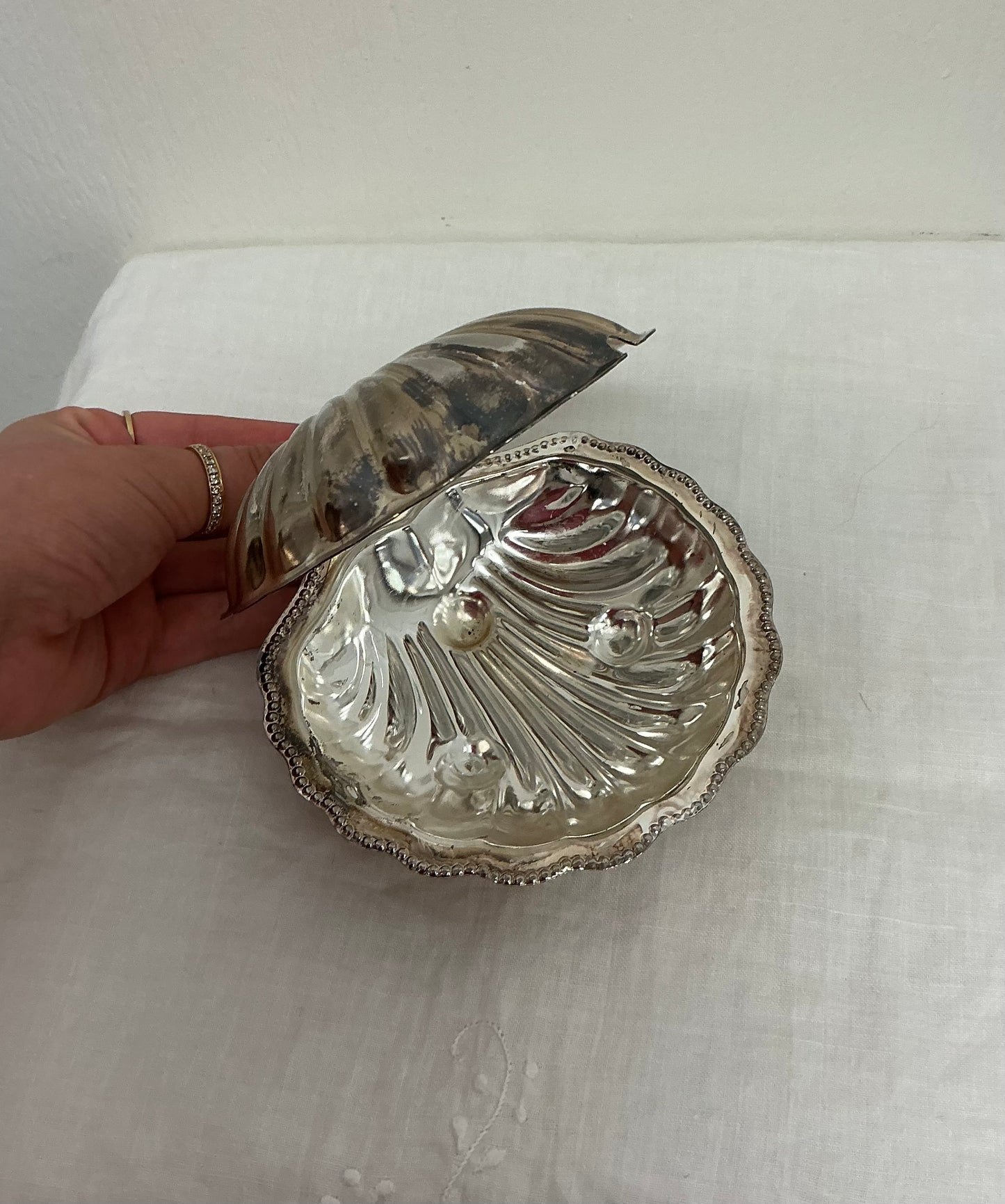 Shell dish chrome