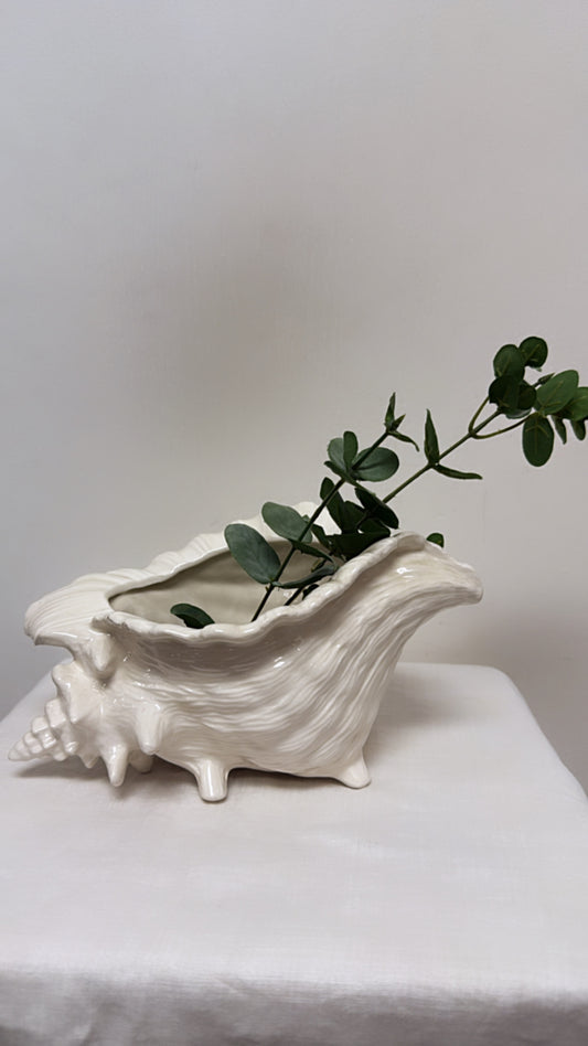 MCM Conch Planter