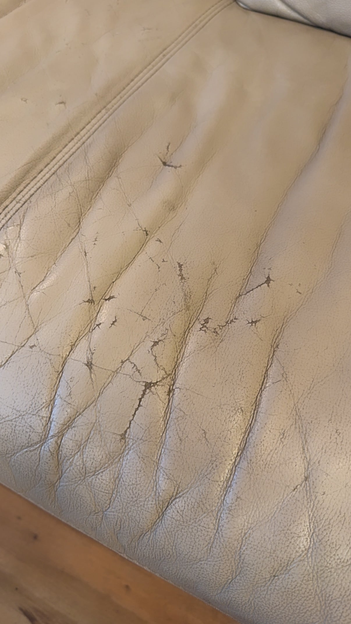 Nicoletti Leather Loveseat