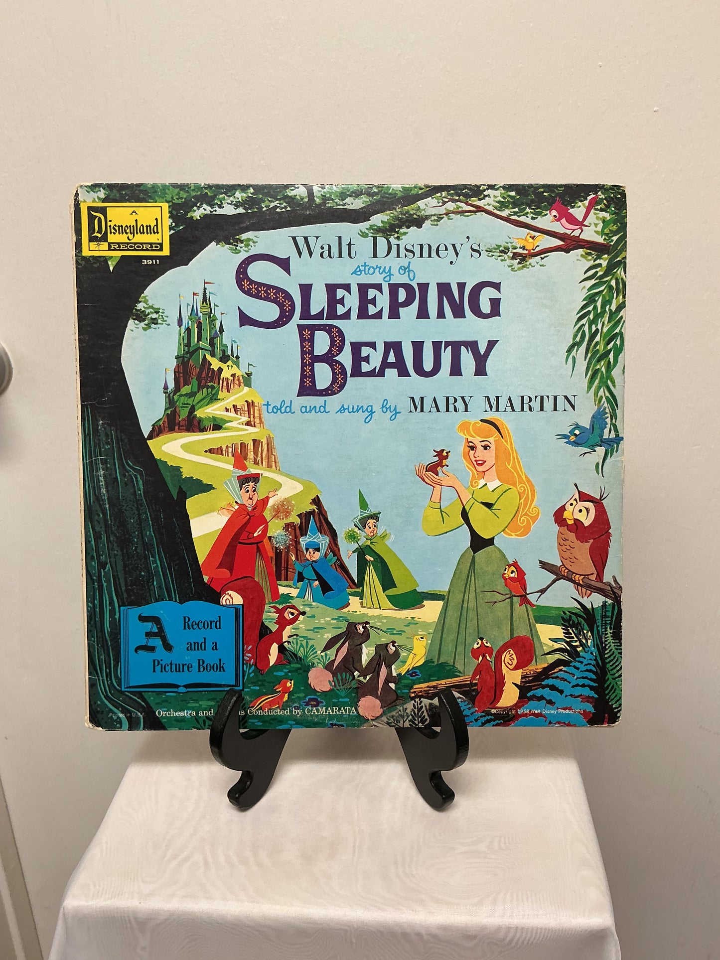 Sleeping Beauty Picture Book and Vinyl Record