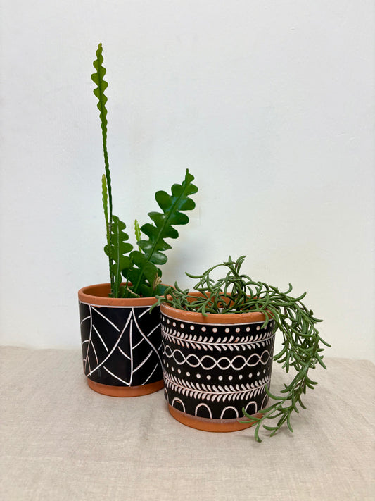 Terracotta Plant Pot