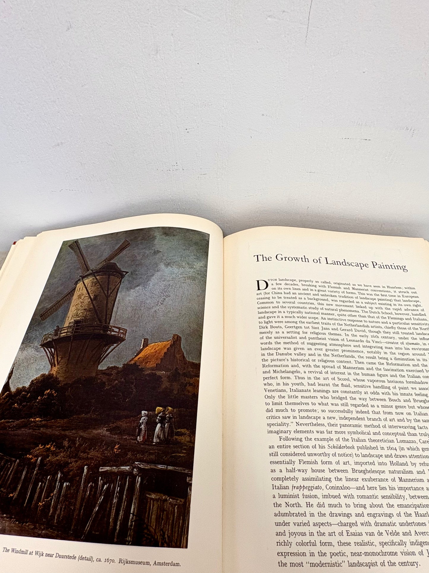 1956 Dutch Painting Book