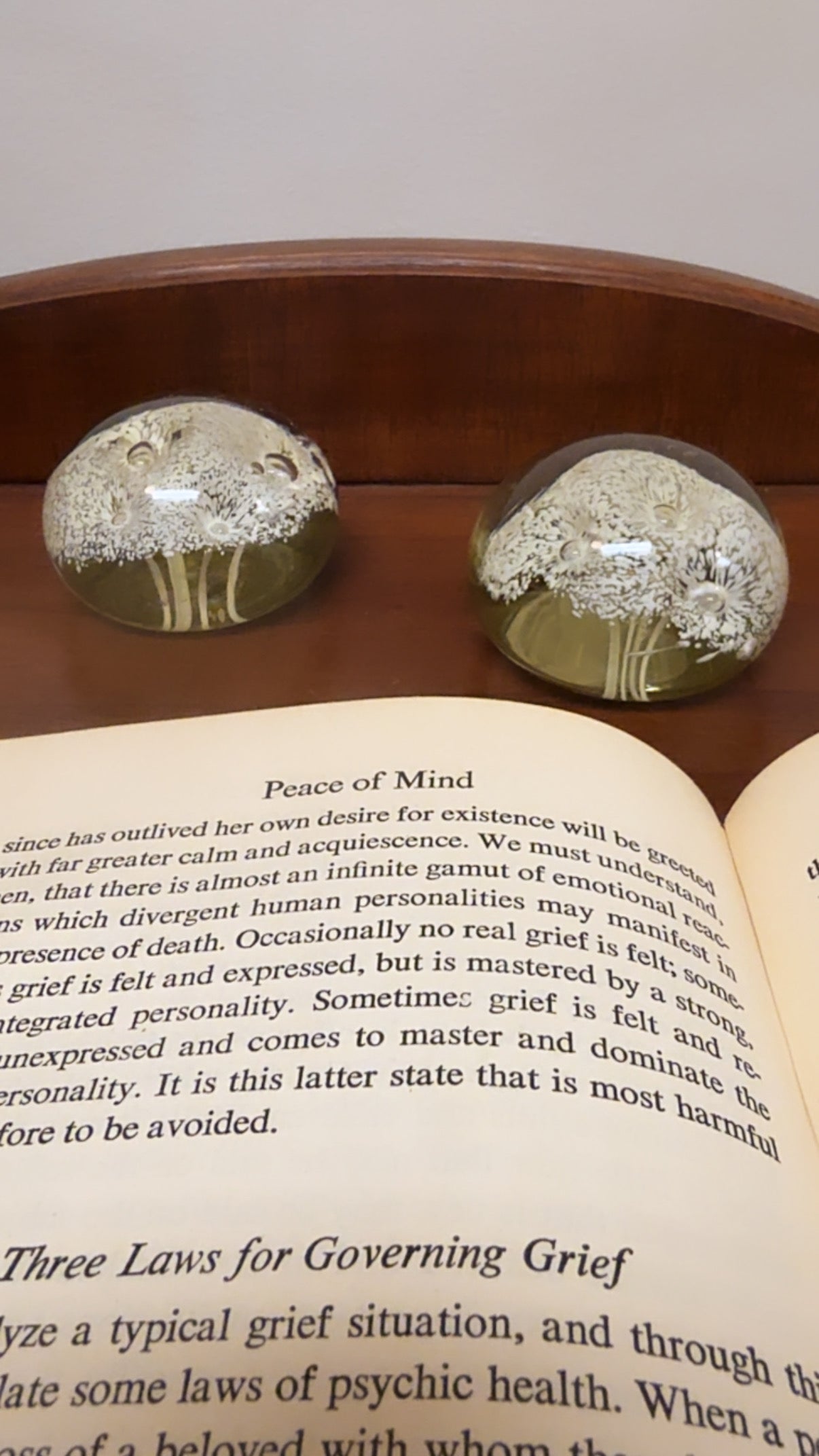 Vintage Controlled Bubble Glass Paperweight