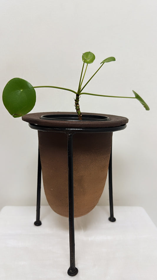 Terracota Planter on Stand